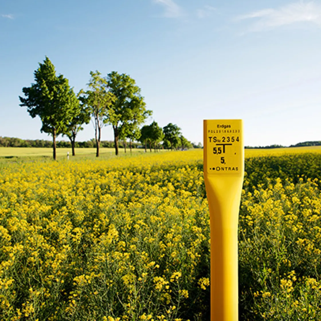 ONTRAS H2-Startnetz News